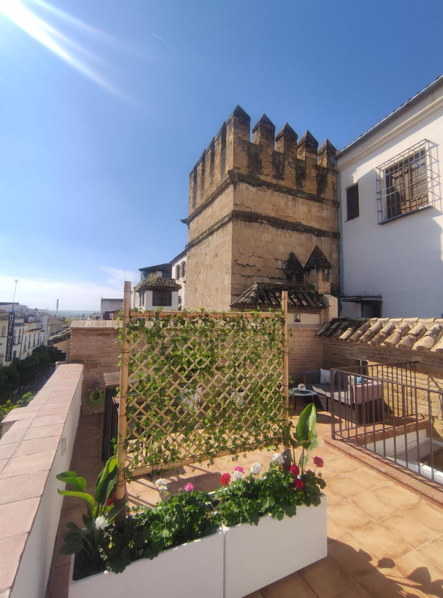 La Muralla De San Fernando De 코르도바 외부 사진
